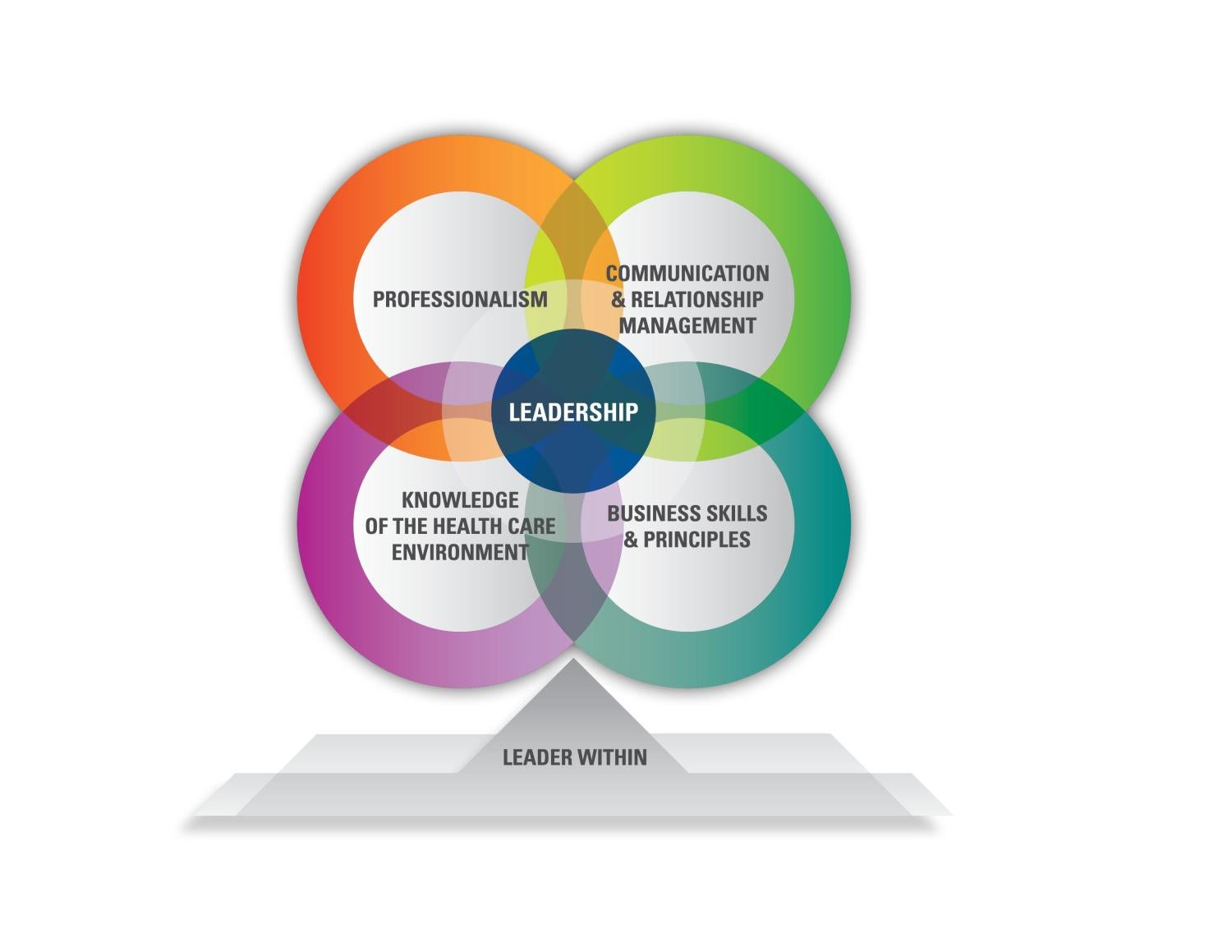 AONL Nurse Leader Competencies Model