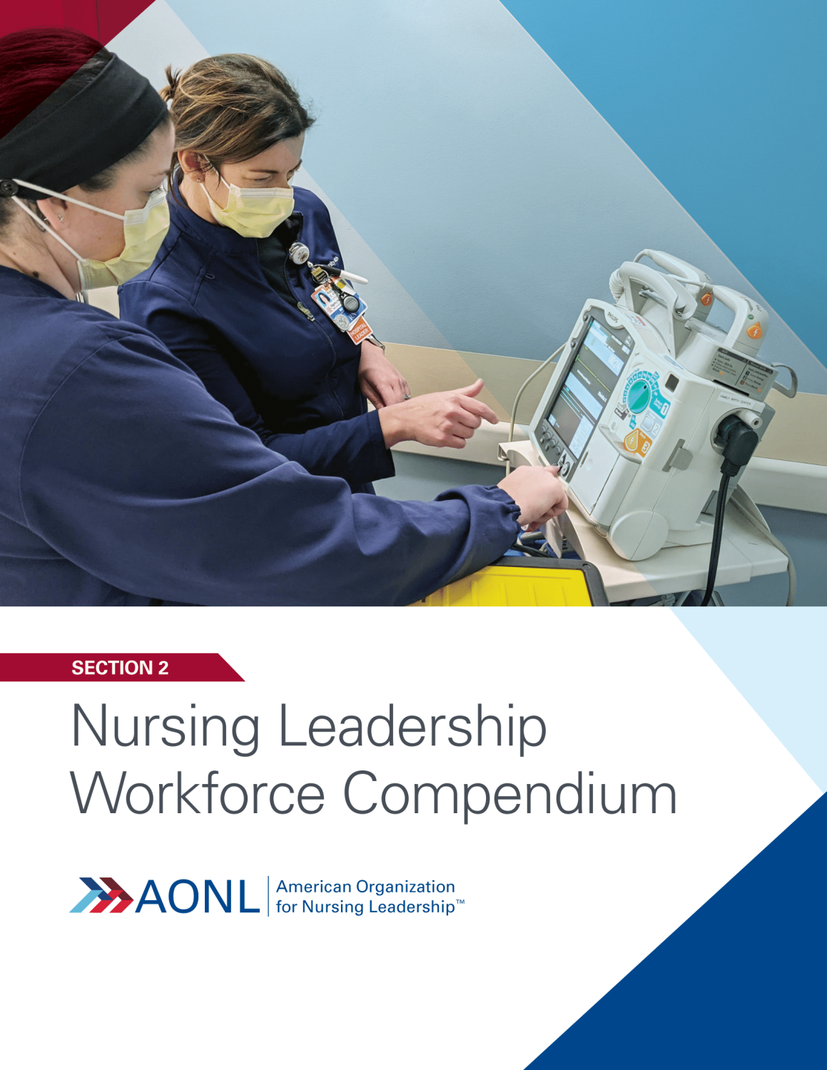 Workforce Compendium Section 2: Leadership and Positive Practice Environment.
