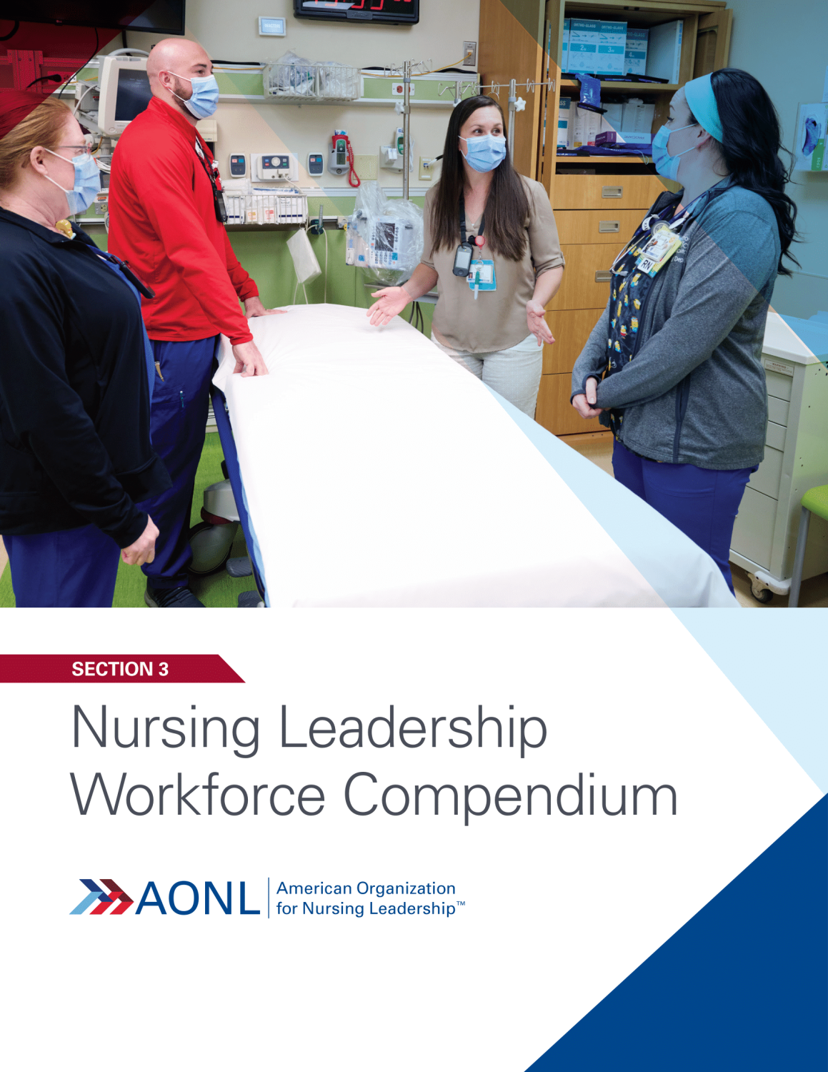 AONL Workforce Compendium Section 3 Cover.