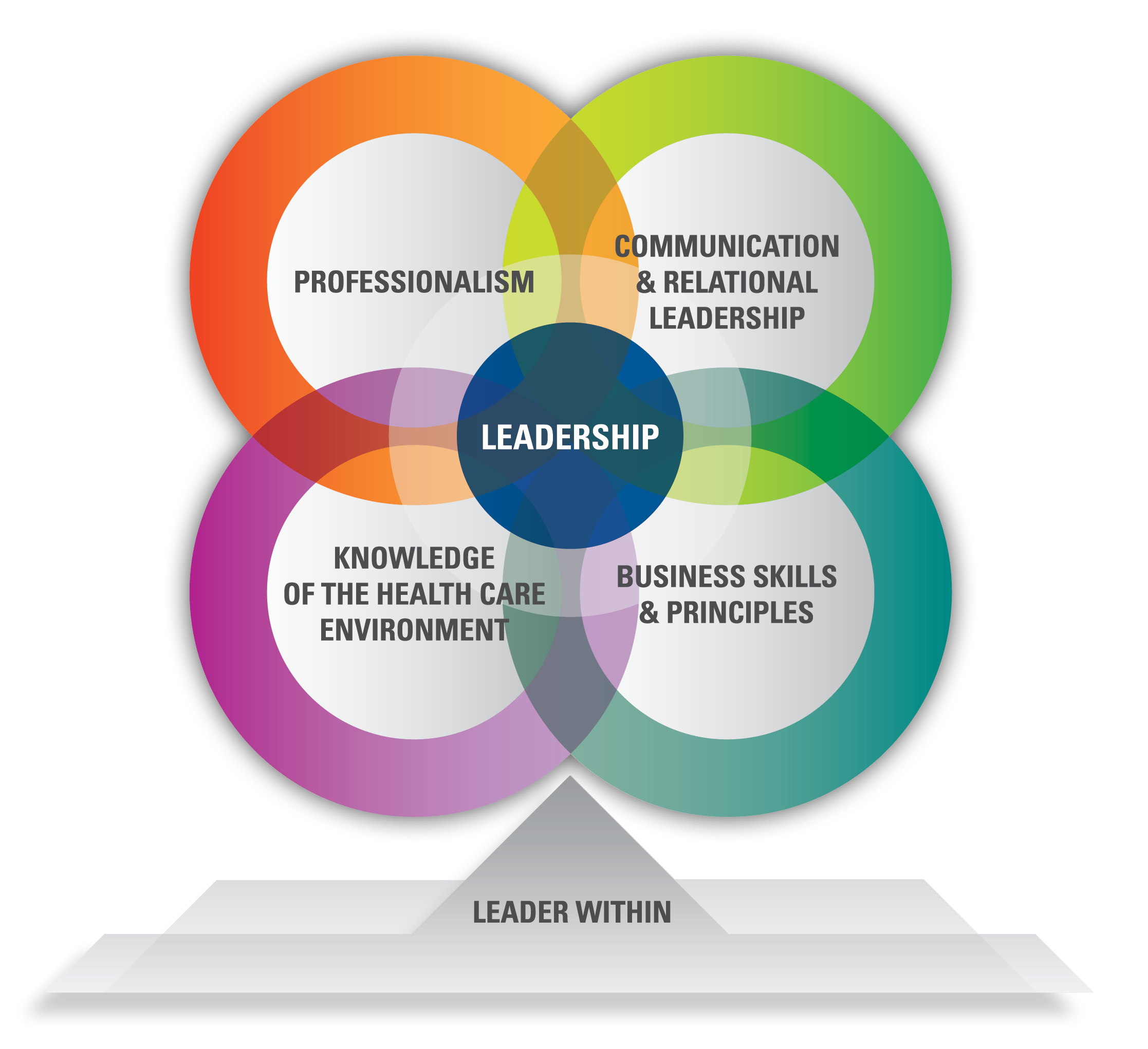 Professionalism, Communication & Relational Leadership, Knowledge of the Health Care Environment, Business Skills & Principles, Leadership and the Leader Within