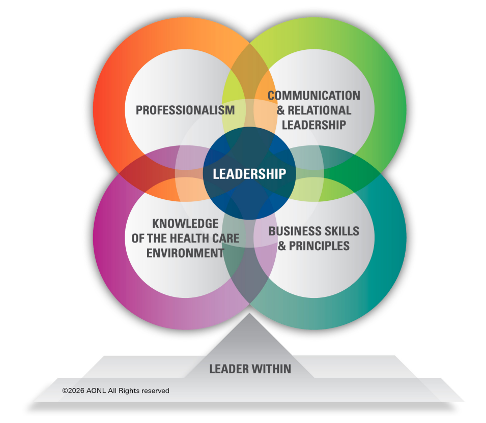 Professionalism, Communication & Relational Leadership, Knowledge of the Health Care Environment, Business Skills & Principles, Leadership and Leader Within