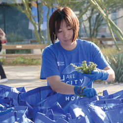 Interprofessional Collaboration Drives Innovations to Mitigate Food Insecurity