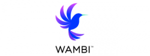 aonl 2020 sponsor wambi